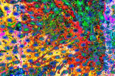 yaratıcı ve tasarım sanatı, kopyalama alanı duvar kağıdı, soyut renkli doku arkaplanı  