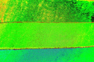 yaratıcı ve tasarım sanatı, kopyalama alanı duvar kağıdı, soyut renkli doku arkaplanı