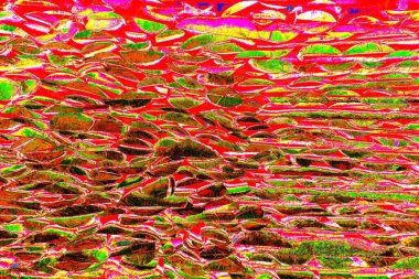 Ağaç kütükleri yığını. Tahta günlük kaydı dokusu arkaplanı