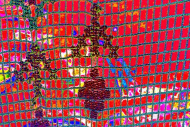 yaratıcı ve tasarım sanatı, kopyalama alanı duvar kağıdı, soyut renkli doku arkaplanı  