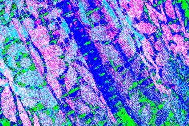 yaratıcı ve tasarım sanatı, kopyalama alanı duvar kağıdı, soyut renkli doku arkaplanı  