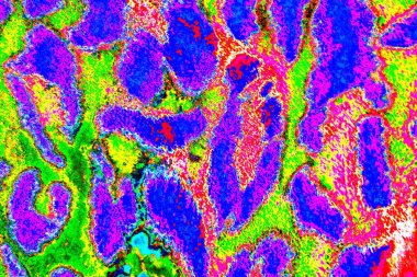 yaratıcı ve tasarım sanatı, kopyalama alanı duvar kağıdı, soyut renkli doku arkaplanı  