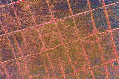 yaratıcı ve tasarım sanatı, kopyalama alanı duvar kağıdı, soyut renkli doku arkaplanı  