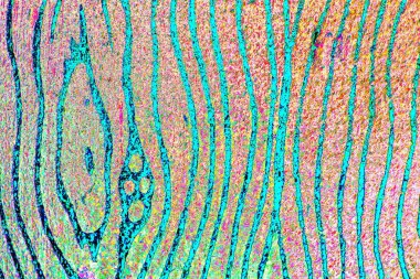 yaratıcı ve tasarım sanatı, kopyalama alanı duvar kağıdı, soyut renkli doku arkaplanı  