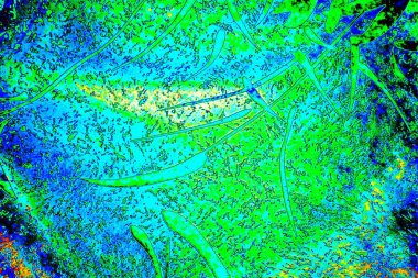 yaratıcı ve tasarım sanatı, kopyalama alanı duvar kağıdı, soyut renkli doku arkaplanı  