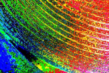 yaratıcı ve tasarım sanatı, kopyalama alanı duvar kağıdı, soyut renkli doku arkaplanı  