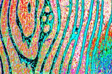 yaratıcı ve tasarım sanatı, kopyalama alanı duvar kağıdı, soyut renkli doku arkaplanı  