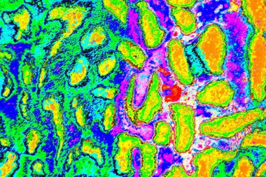 yaratıcı ve tasarım sanatı, kopyalama alanı duvar kağıdı, soyut renkli doku arkaplanı  