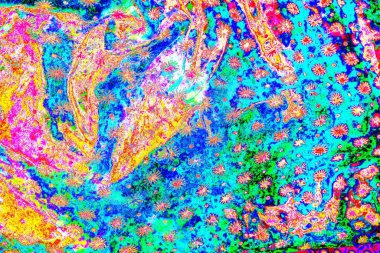 yaratıcı ve tasarım sanatı, kopyalama alanı duvar kağıdı, soyut renkli doku arkaplanı  