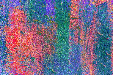 yaratıcı ve tasarım sanatı, kopyalama alanı duvar kağıdı, soyut renkli doku arkaplanı  