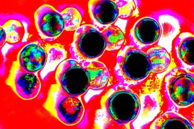 yaratıcı ve tasarım sanatı, kopyalama alanı duvar kağıdı, soyut renkli doku arkaplanı  