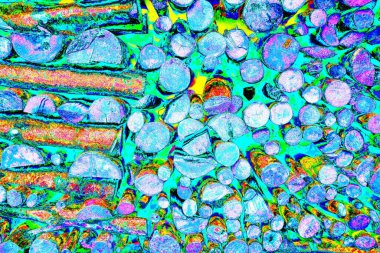 Ağaç kütükleri yığını. Tahta günlük kaydı dokusu arkaplanı