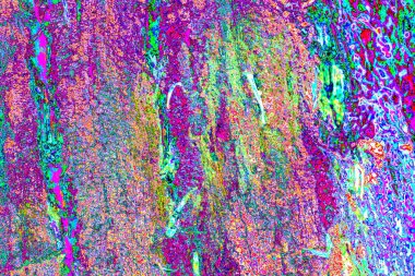 yaratıcı ve tasarım sanatı, kopyalama alanı duvar kağıdı, soyut renkli doku arkaplanı  