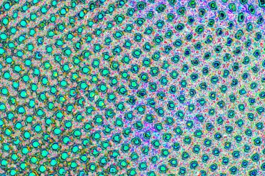 yaratıcı ve tasarım sanatı, kopyalama alanı duvar kağıdı, soyut renkli doku arkaplanı  