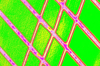 yaratıcı ve tasarım sanatı, kopyalama alanı duvar kağıdı, soyut renkli doku arkaplanı  