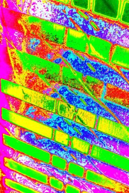 yaratıcı ve tasarım sanatı, kopyalama alanı duvar kağıdı, soyut renkli doku arkaplanı  