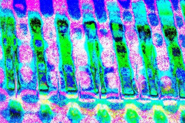 yaratıcı ve tasarım sanatı, kopyalama alanı duvar kağıdı, soyut renkli doku arkaplanı