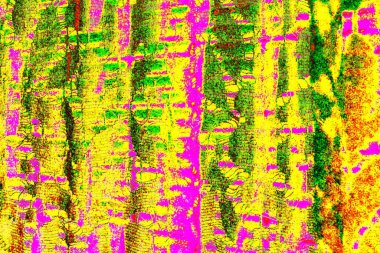 yaratıcı ve tasarım sanatı, kopyalama alanı duvar kağıdı, soyut renkli doku arkaplanı  