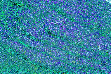 yaratıcı ve tasarım sanatı, kopyalama alanı duvar kağıdı, soyut renkli doku arkaplanı  