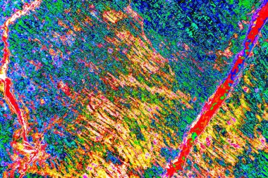 yaratıcı ve tasarım sanatı, kopyalama alanı duvar kağıdı, soyut renkli doku arkaplanı  