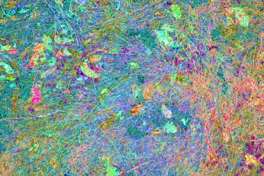 yaratıcı ve tasarım sanatı, kopyalama alanı duvar kağıdı, soyut renkli doku arkaplanı  