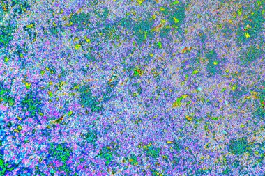 yaratıcı ve tasarım sanatı, kopyalama alanı duvar kağıdı, soyut renkli doku arkaplanı  