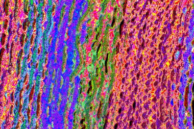 yaratıcı ve tasarım sanatı, kopyalama alanı duvar kağıdı, soyut renkli doku arkaplanı