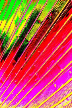 yaratıcı ve tasarım sanatı, kopyalama alanı duvar kağıdı, soyut renkli doku arkaplanı  