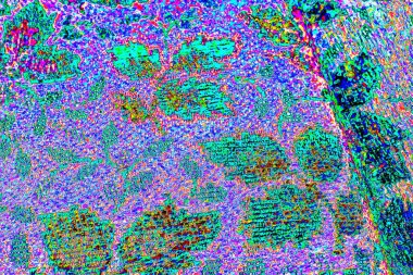 yaratıcı ve tasarım sanatı, kopyalama alanı duvar kağıdı, soyut renkli doku arkaplanı  