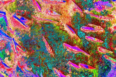 yaratıcı ve tasarım sanatı, kopyalama alanı duvar kağıdı, soyut renkli doku arkaplanı  