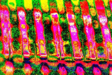 yaratıcı ve tasarım sanatı, kopyalama alanı duvar kağıdı, soyut renkli doku arkaplanı