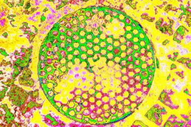 yaratıcı ve tasarım sanatı, kopyalama alanı duvar kağıdı, soyut renkli doku arkaplanı  