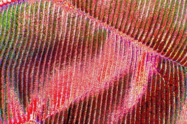 yaratıcı ve tasarım sanatı, kopyalama alanı duvar kağıdı, soyut renkli doku arkaplanı