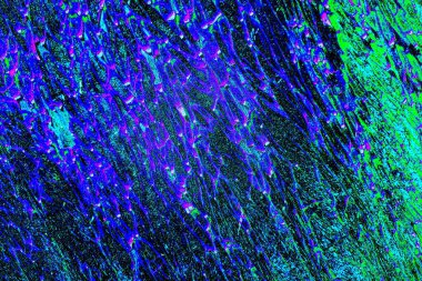 yaratıcı ve tasarım sanatı, kopyalama alanı duvar kağıdı, soyut renkli doku arkaplanı