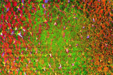 yaratıcı ve tasarım sanatı, kopyalama alanı duvar kağıdı, soyut renkli doku arkaplanı