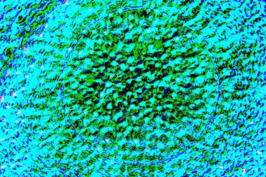 yaratıcı ve tasarım sanatı, kopyalama alanı duvar kağıdı, soyut renkli doku arkaplanı