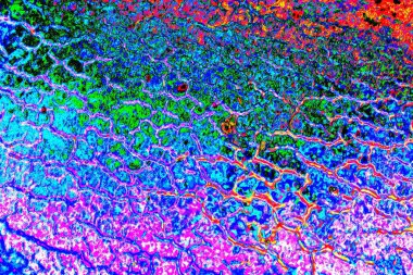 yaratıcı ve tasarım sanatı, kopyalama alanı duvar kağıdı, soyut renkli doku arkaplanı