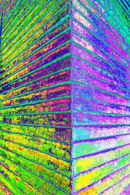 yaratıcı ve tasarım sanatı, kopyalama alanı duvar kağıdı, soyut renkli doku arkaplanı