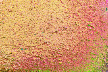 yaratıcı ve tasarım sanatı, kopyalama alanı duvar kağıdı, soyut renkli doku arkaplanı