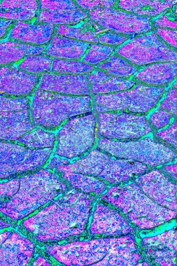 yaratıcı ve tasarım sanatı, kopyalama alanı duvar kağıdı, soyut renkli doku arkaplanı