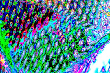 yaratıcı ve tasarım sanatı, kopyalama alanı duvar kağıdı, soyut renkli doku arkaplanı