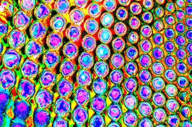 yaratıcı ve tasarım sanatı, kopyalama alanı duvar kağıdı, soyut renkli doku arkaplanı