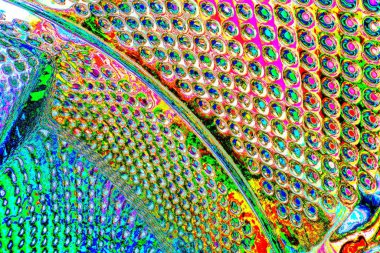 yaratıcı ve tasarım sanatı, kopyalama alanı duvar kağıdı, soyut renkli doku arkaplanı