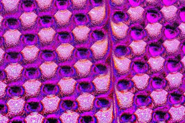 yaratıcı ve tasarım sanatı, kopyalama alanı duvar kağıdı, soyut renkli doku arkaplanı