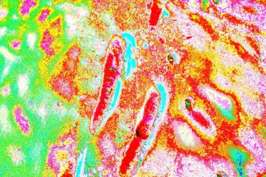 yaratıcı ve tasarım sanatı, kopyalama alanı duvar kağıdı, soyut renkli doku arkaplanı