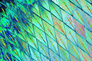 yaratıcı ve tasarım sanatı, kopyalama alanı duvar kağıdı, soyut renkli doku arkaplanı