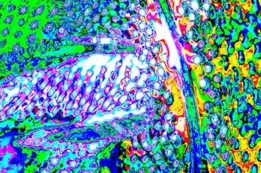 yaratıcı ve tasarım sanatı, kopyalama alanı duvar kağıdı, soyut renkli doku arkaplanı