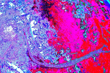 yaratıcı ve tasarım sanatı, kopyalama alanı duvar kağıdı, soyut renkli doku arkaplanı