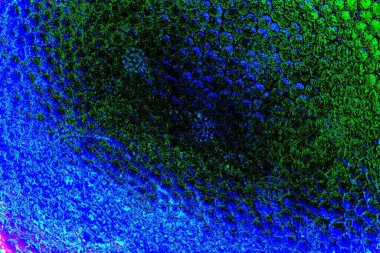 yaratıcı ve tasarım sanatı, kopyalama alanı duvar kağıdı, soyut renkli doku arkaplanı