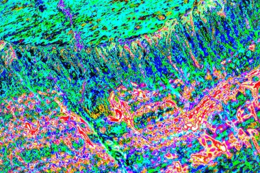 yaratıcı ve tasarım sanatı, kopyalama alanı duvar kağıdı, soyut renkli doku arkaplanı